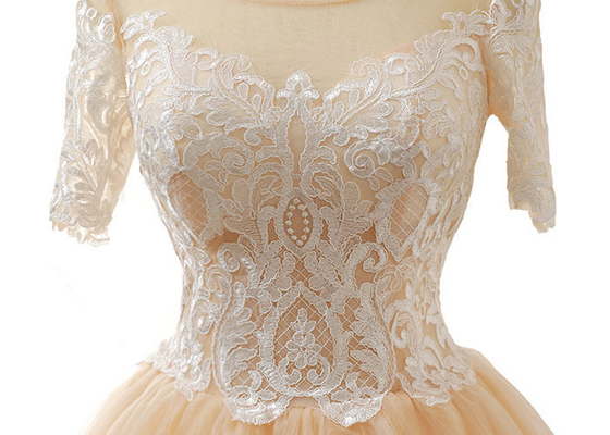 Nude Tulle Multi Colored Wedding Gowns With 3/4 Sleeve Sexy Vintage Appliques