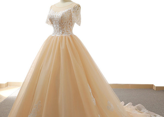 Nude Tulle Multi Colored Wedding Gowns With 3/4 Sleeve Sexy Vintage Appliques